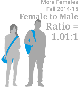 female to male ratio